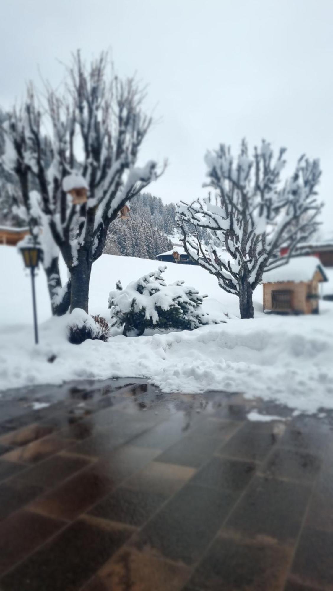 B&B Ciauceia Sëlva Buitenkant foto