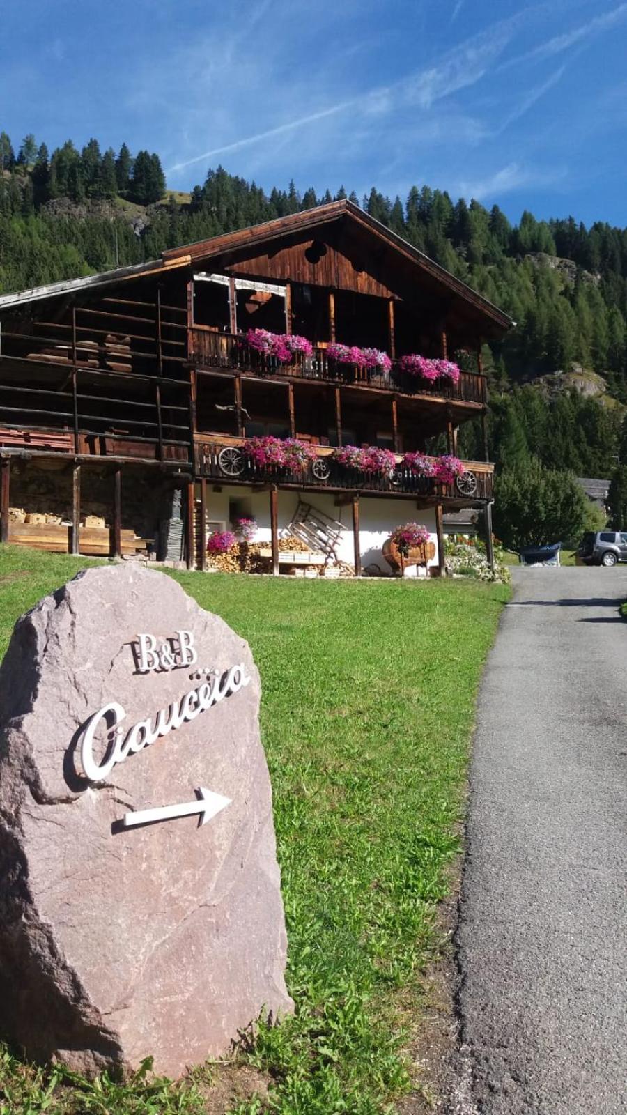 B&B Ciauceia Sëlva Buitenkant foto